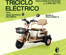 El triciclo eléctrico Pialli Family está pensado para adultos y adultos mayores que buscan seguridad y comodidad. Motor 650W, autonomía aprox. de 50 km y capacidad para 2 adultos y 1 niño.