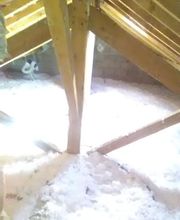 Denis Julien image 9