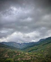 Aceite de Oliva Virgen Extra Bárbaro imagen 14