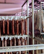 Gallery Professionale