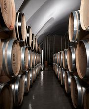 Staatskellerei Zürich Bild 3