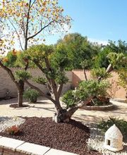 Guilhot Paysage image 19