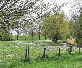 Anne Rodenburg Praktijk met vrij uitzicht op natuur Den Bosch