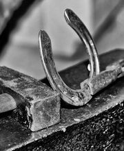 Les Ecuries D'aurabelle image 6