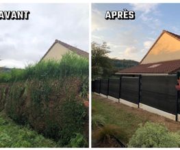 Heldebaume Elagage image 2