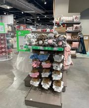 Orchestra AMIENS image 20