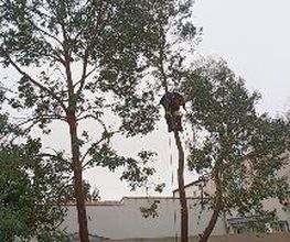 Vert Pro Tech image 1