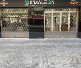 kmaleon.JPG
