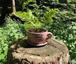 Achtsame Auszeit in der Natur: Waldbaden (Shinrin Yoku) mit Kursleiterin Andrea Glauser lädt dazu ein, den Alltag loszulassen und sich ganz im Moment niederzulassen. Durch bewusstes Innehalten, Sinnesübungen und langsames Schlendern unter dem schützenden Blätterdach tanken Sie neue Lebenskraft, beruhigen das Nervensystem und stärken die innere Ausgeglichenheit.