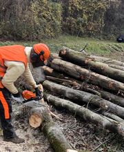 Werner Baum- und Gartenservice Bild 1