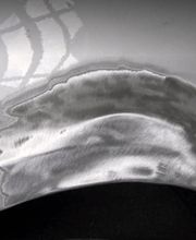 carXpert Garage Steiner Bernhard Bild 2