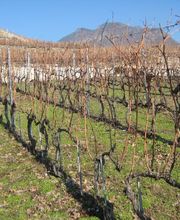 BIOCAVE Marc Güntert Bild 4