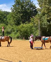 Les Poneys de Monthoiron image 1