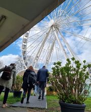 ImGEx GmbH & Co. KG Bild 2