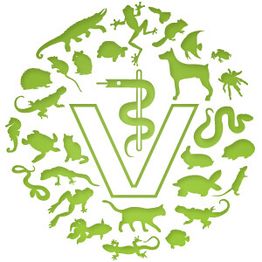 Tierarztpraxis Marc-Niklas Klingberg