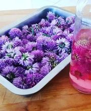 Butaye Duffay Flora image 5