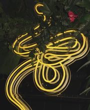 169367992-1-7PCSeqiMtg1784127327624.jpeg