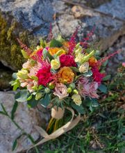 Hellebore image 2