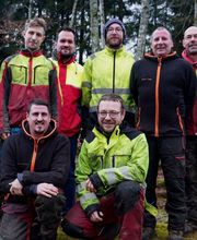 Die Wipfelstürmer - Ihre Baumspezialisten Bild 3