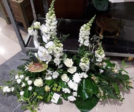 Flowers image 4