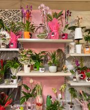 Côté Fleurs image 12