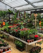 HORNBACH Gartencenter Magdeburg Bild 7