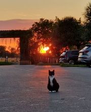 Project JUNE Bild 13