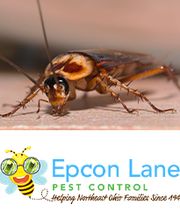 Epcon Lane image 20