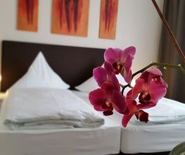Pension Geiger Bild 13