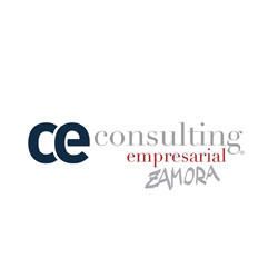 logo_ceoconsulting.jpg