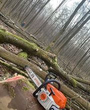 Baumdienst Herrmann Bild 12