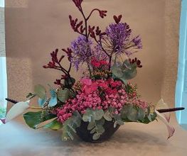 Blumen Dahlmann Bild 12