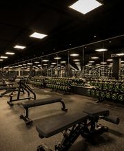 Fitness First Offenbach - Gewichte Training