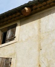 GN3D Dératisation Désinsectisation image 4