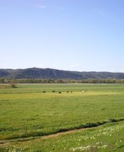 Les Ecuries D'aurabelle image 8