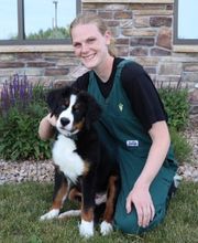 Marshfield Veterinary Service image 8