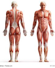 Physiotherapie Hellerau Bild 2