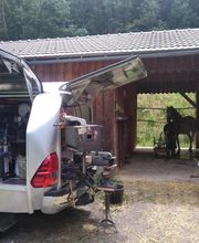 Henrotay Gilles image 5