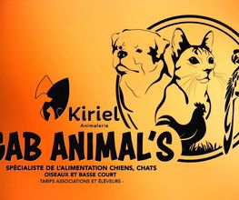 Gab Animal's Kiriel image 2