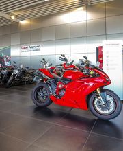 Triumph Bordeaux image 13