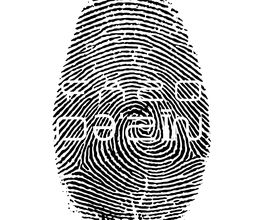 FAZO design image 6