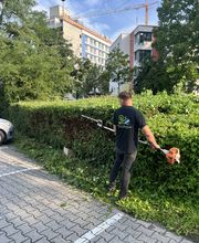 IMG_1016.jpeg