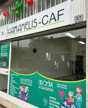 Gallery Cliente