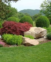 VITA VERDE AG Bild 4