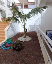 Leyma Servicios imagen 2