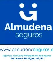 almudena-seguros.PNG