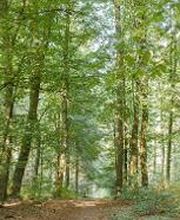 FriedWald Bremervörde Bild 1