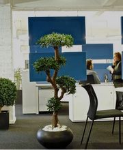 HOLI.E concept image 11