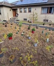 Haus-Garten-Service Bild 5