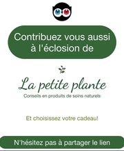 La Petite Plante image 18